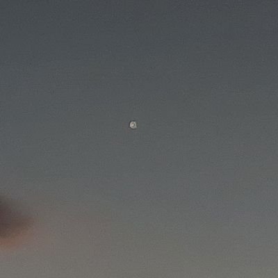 suumo_yayo's profile picture. ﾍﾞﾘﾊﾞｯﾄﾞ