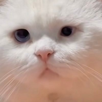 BTS投票用アカ 🐱よりのオルペン