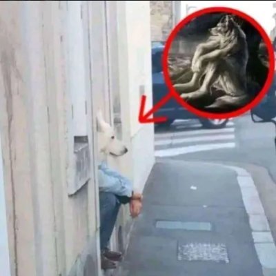 hennockcortes's profile picture. je kiffe le champomie