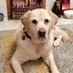 Lorraine O'Connor (@lorraineoc2933) Twitter profile photo Lorraine O'Connor (@lorraineoc2933) Twitter profile photo