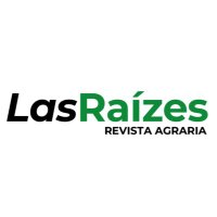 Revista LasRaízes(@lasraizes) 's Twitter Profile Photo