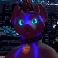 Maus (@rodger_maus) 's Twitter Profile Photo Maus (@rodger_maus) 's Twitter Profile Photo