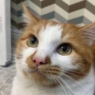 kayyrval's profile picture. MI  21 y.o