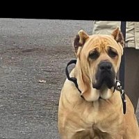 Marcel Kessler (@marcelkess20036) 's Twitter Profile
