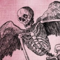 zipwas (@zipwas) 's Twitter Profile