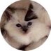 hum boo (@_humboo) Twitter profile photo hum boo (@_humboo) Twitter profile photo