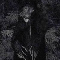 Completely_Normal_Bear_0(@chuffleson) 's Twitter Profile Photo