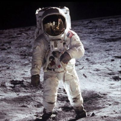 CryptoM00nwalk's profile picture. 