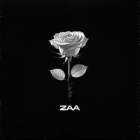 Zaa(@CertifiedZaa) 's Twitter Profile Photo