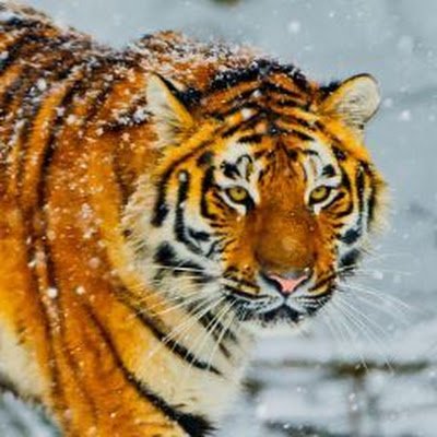 EzlynnD14118's profile picture. 