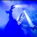 Gothminister (@gothminister_no) Twitter profile photo Gothminister (@gothminister_no) Twitter profile photo