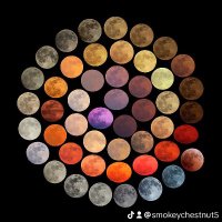 Smokey Chestnut as Muse (@smokeysmuse) 's Twitter Profile Photo Smokey Chestnut as Muse (@smokeysmuse) 's Twitter Profile Photo