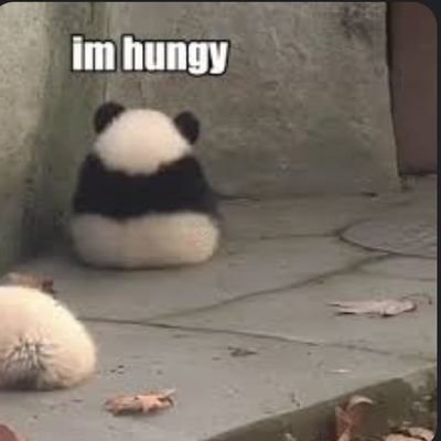 vithuu_x's profile picture. 