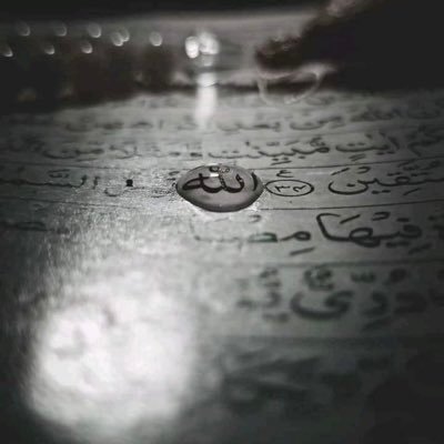 mdbfg's profile picture. 