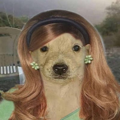 weirdboy1900's profile picture. apenas ariana grande.