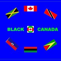 BLACK CANADA NETWORK(@BLACKCDANETWORK) 's Twitter Profileg