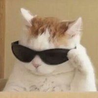 Hussain (@wolfguy_07) 's Twitter Profile