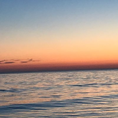 vartagan_a's profile picture. An artist, a photographer, a collector and a good person! we create new things!