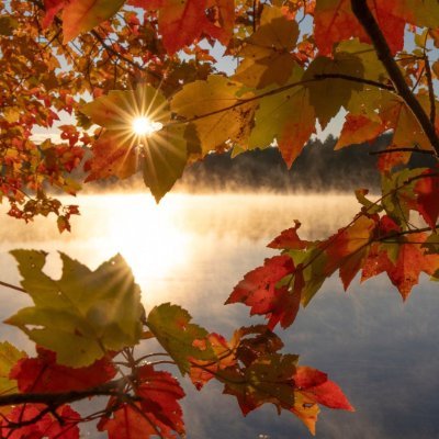 duoduo591924603's profile picture. Thank you for your coming.