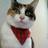 nekosatukineko's profile image