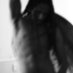Underwearphoto (@intimityvibes) Twitter profile photo Underwearphoto (@intimityvibes) Twitter profile photo