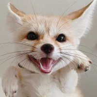 Fe3O4 (@hideinsummer) 's Twitter Profile