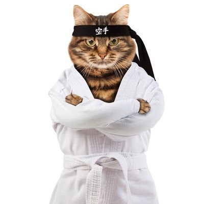 What would I know? I’m just a karate cat. If you see me scratching around, I like good humans, coffee ☕️ metal🤘calling out 💩 & leaving lil nuggets… of wisdom.