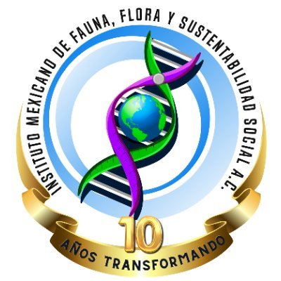 Instituto Mexicano de Fauna, Flora y Sustentabilidad Social A.C. 

¡Transformando el mundo a través de la Educación Ambiental, Ciencia y Sustentabilidad 🌎!