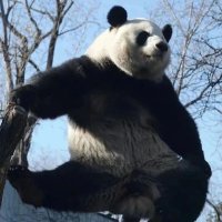 scldh623(互fo必回) (@scldh623) 's Twitter Profile