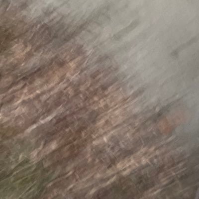 finn_pittman's profile picture. 