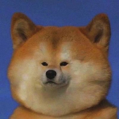 chenzhd29's profile picture. A simple Idiot~