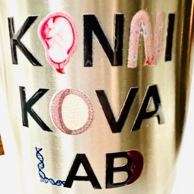 Konnikova lab Profile