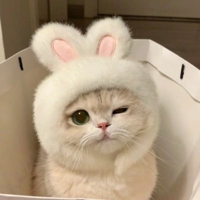 YOK8999's profile picture. 