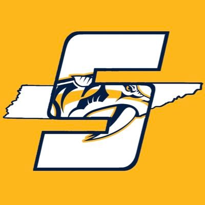 The Official @Sidelines_SN for your Nashville Predators. EST. 1998. Here to cover all things #Preds *Not affiliated with The Nashville Predators.*