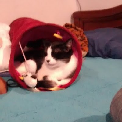 MatildaTor89349's profile picture. 