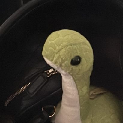 SBN_m___01's profile picture. '(21)　|📍東京