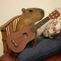 Jacey Gerlach (@gerlachjac14626) 's Twitter Profile