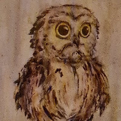 Swagmodus8's profile picture. 