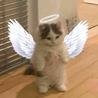 mar (@girllbossing) 's Twitter Profile Photo mar (@girllbossing) 's Twitter Profile Photo