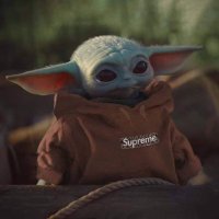 algospirit 🌹 (@algospirit) 's Twitter Profile
