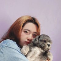DN (@baywongan) 's Twitter Profile