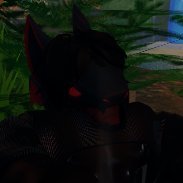 23 | male | nsfw | lots of 18+ follows and likes, beware
just a silly horny proot