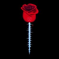 NIGHT CLUB (@nightclubband) 's Twitter Profile