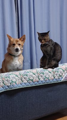 VCWkuiGwcs561's profile picture. 