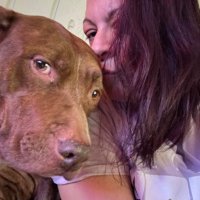 ❤️🩹True Jeannieus❤️🩹 (@jean_heart_low) 's Twitter Profile