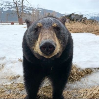 Zachary66301031's profile picture. working class scum