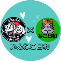 保護犬猫カフェ いぬねこ日和＠所沢(@inunekobiyori22) 's Twitter Profile Photo
