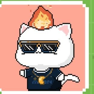 riddum_sethi's profile picture. CA Finalist