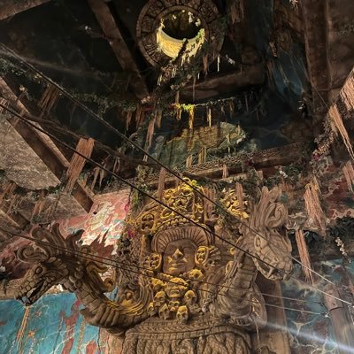 zFehl6HAxx42611's profile picture. 