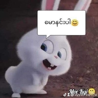 သားခ်စ္